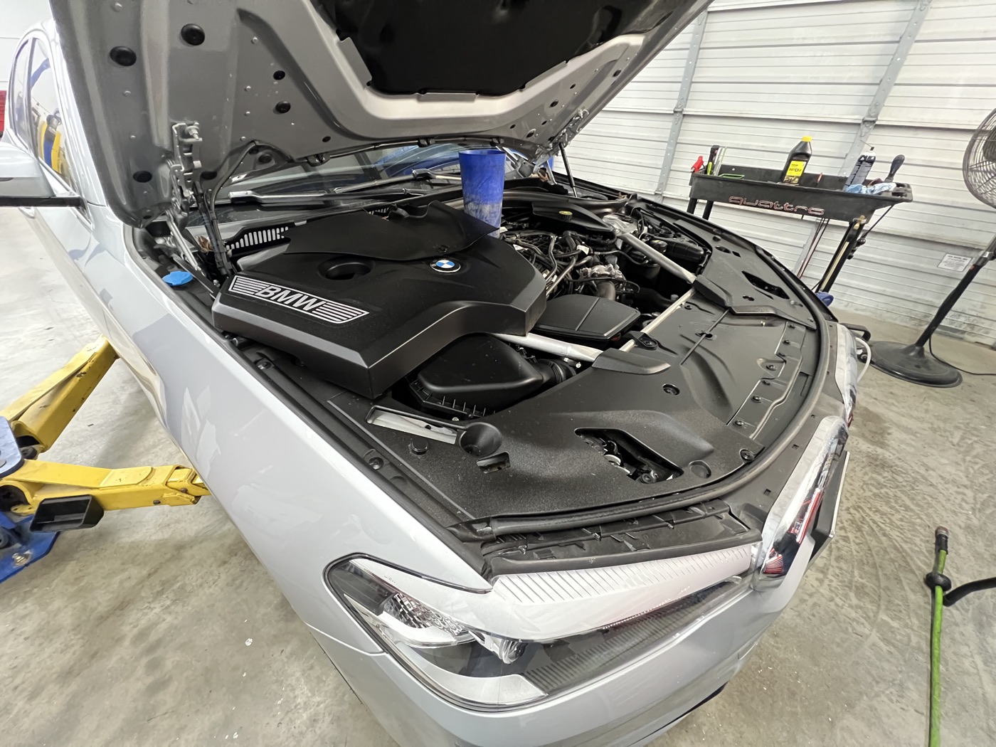 Clean BMW engine bay during diagnostics