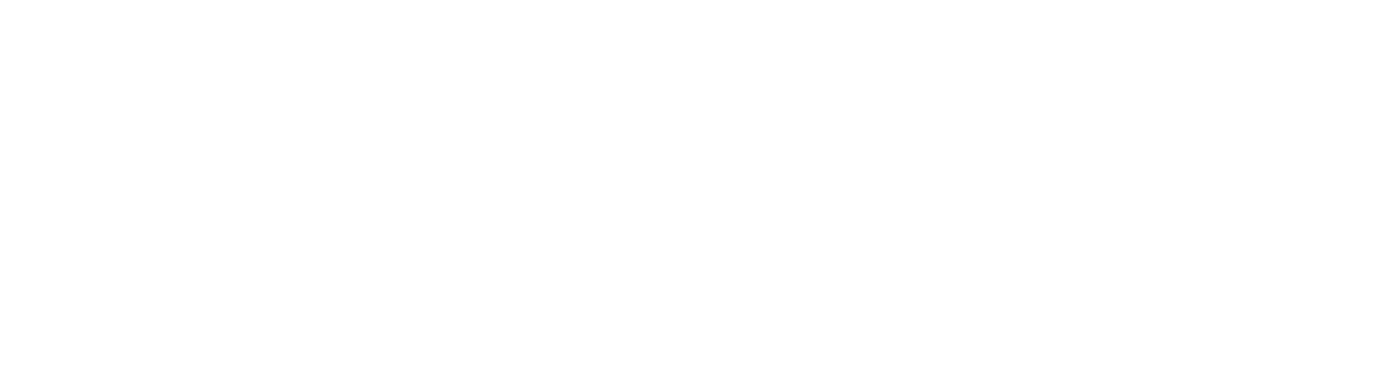 German Car Specialists